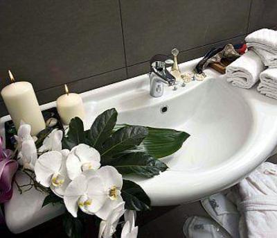 фото отеля Hotel Alisei Palace