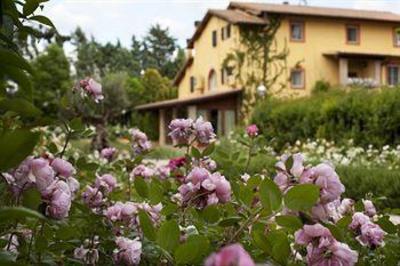 фото отеля Spa & Resort San Crispino Assisi