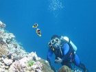 фото отеля Mai Dive Astrolabe Reef Resort