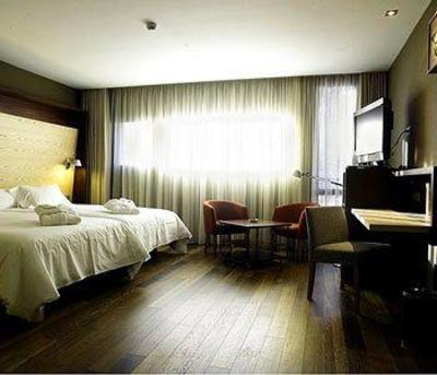 фото отеля Hotel Aneto