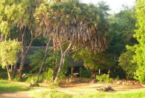 фото отеля Tsavo Safari Camp - Kitaani Kya Ndundu