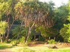 фото отеля Tsavo Safari Camp - Kitaani Kya Ndundu