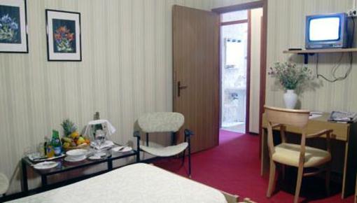 фото отеля Hotel Margna Morbegno