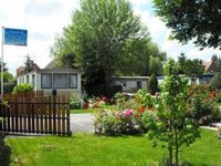 Le Camp des Roses