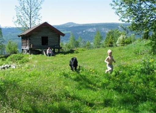 фото отеля Stabbursnatt Sore Skugrud