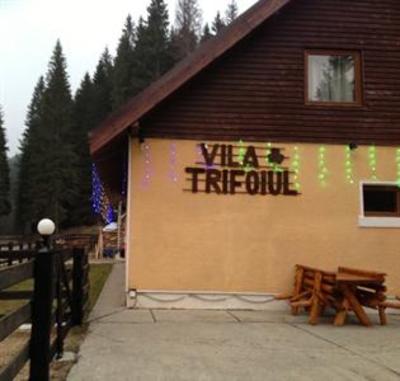 фото отеля Vila Trifoiul
