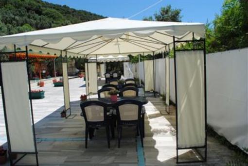 фото отеля Marmara Zeytin Hotel
