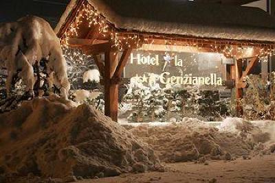 фото отеля Hotel la Genzianella