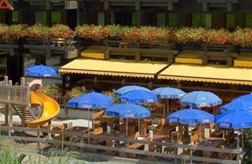 фото отеля Hotel Alpina -Grimentz