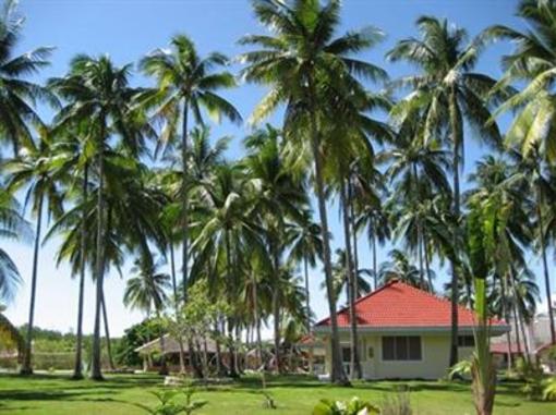 фото отеля Whispering Palms Island Resort