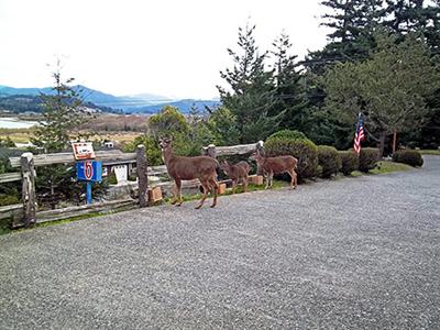 фото отеля Motel 6 Gold Beach