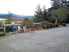 фото отеля Motel 6 Gold Beach