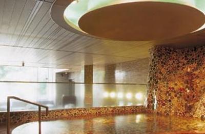 фото отеля Tamatukuri Grand Hotel Choseikaku