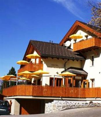 фото отеля Hotel Ladina