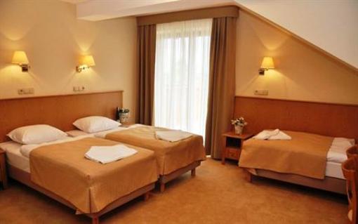 фото отеля Hotel Alpejski