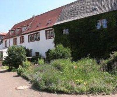 фото отеля Hotel Rosenthaler Hof Kerzenheim