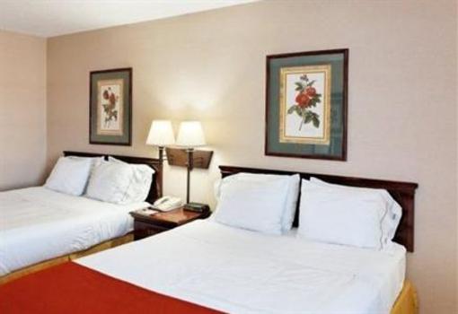 фото отеля Holiday Inn Express Metropolis