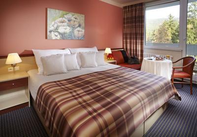 фото отеля Orea Vital Hotel Sklar Harrachov