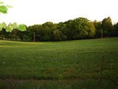 фото отеля Woodpeckers Bed & Breakfast Romsey