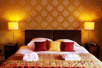 фото отеля The Falcondale Hotel