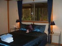 A Splendid Wren Pemberton Bed & Breakfast Retreat