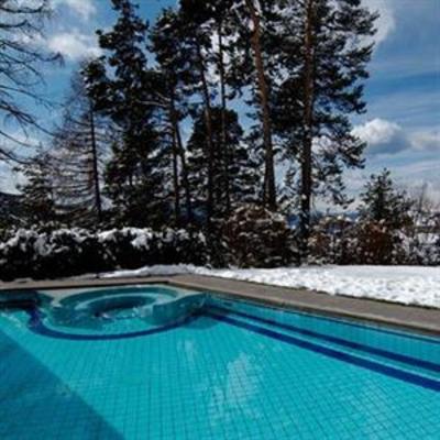фото отеля Wellnesshotel Erica Deutschnofen