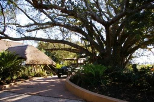 фото отеля Inkwenkwezi Private Game Reserve Safari Lodge