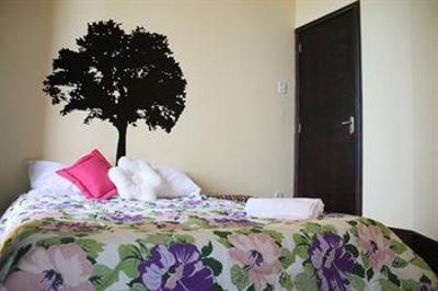 фото отеля Rio Forest Hostel