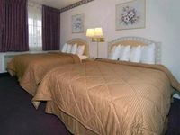 Comfort Inn Palo Alto