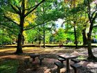 фото отеля Hilton Garden Inn Washington DC / Bethesda