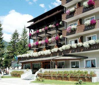 фото отеля Hotel Baita dei Pini