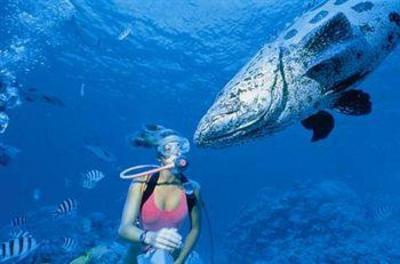 фото отеля Lizard Island Resort