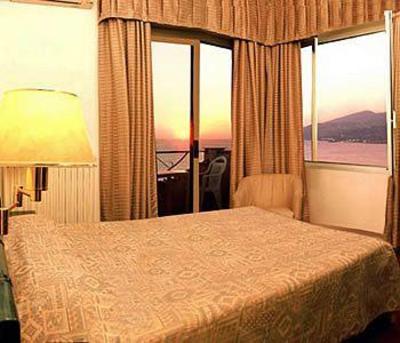 фото отеля Hotel Ariston Montecarlo