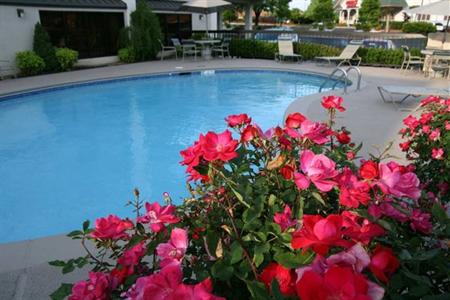 фото отеля Hampton Inn Dalton