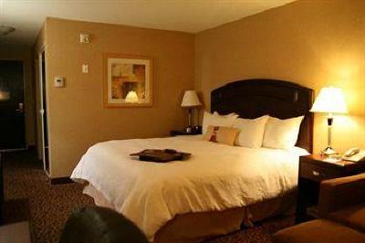 фото отеля Hampton Inn & Suites Edmonton International Airport