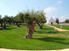 фото отеля Masseria Magli Resort