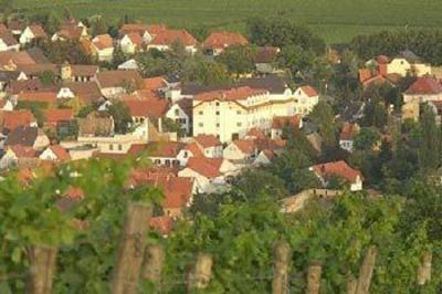 фото отеля Pfalzhotel Asselheim