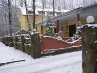 Otel' Lisova Perlina