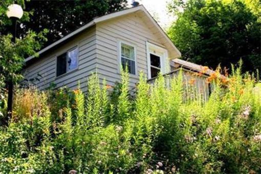 фото отеля Silver Maple Motel Haliburton