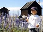 фото отеля Bunge Vandrarhem