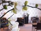 фото отеля Hotel Allegra-Golf
