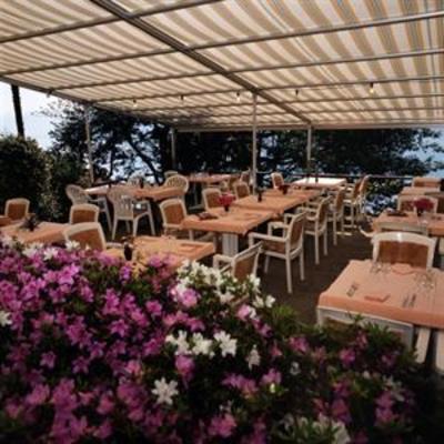 фото отеля Hotel Primavera Brissago