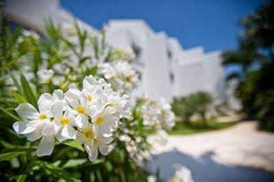 фото отеля Sunset Lagoon Resort Cancun