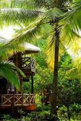 фото отеля Timarai Bamboo Resort