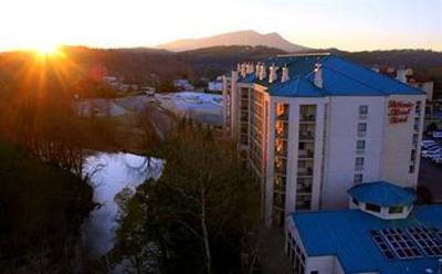 фото отеля Music Road Hotel