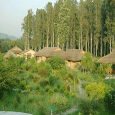 фото отеля Jims Jungle Retreat Corbett
