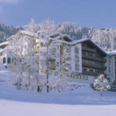 фото отеля Hotel Bergkristall Wildschoenau