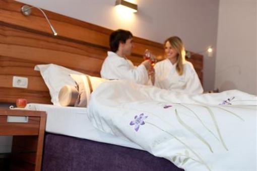 фото отеля Terme Zrece Villas