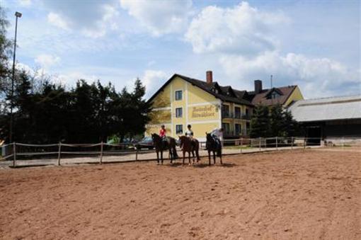 фото отеля Hotel Reiterhof Altmühlsee Gunzenhausen