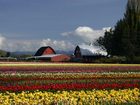 фото отеля Hampton Inn & Suites Burlington (Washington)